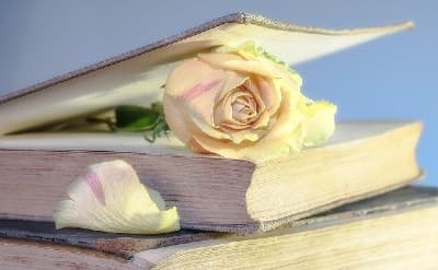 Photo of a book with a rose