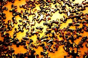 Photo of jigsaw puzzle pieces.