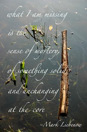 Quote: What I'm missing is the sense of mystery of something solid and unchanging at the core.